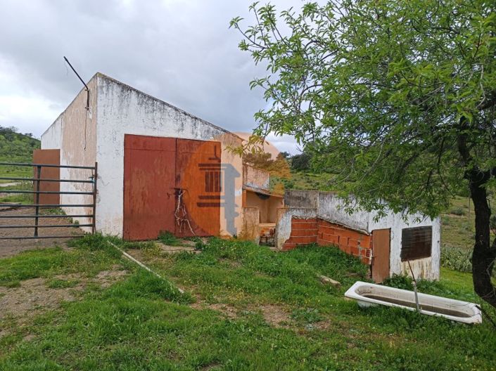 Image No.19-3 Bed House for sale