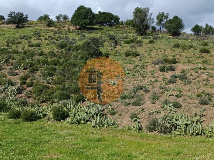 Image No.26-3 Bed House for sale