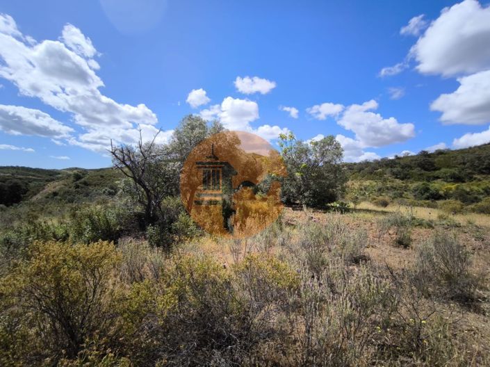 Image No.13-Plot for sale