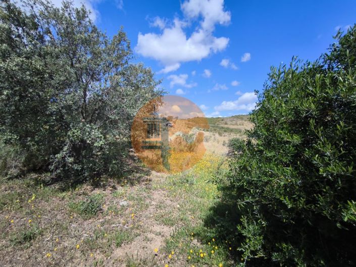 Image No.14-Plot for sale