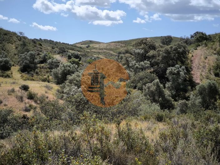 Image No.15-Plot for sale