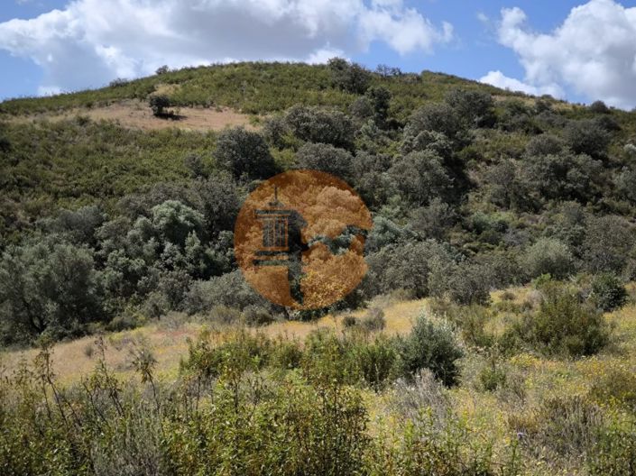 Image No.16-Plot for sale