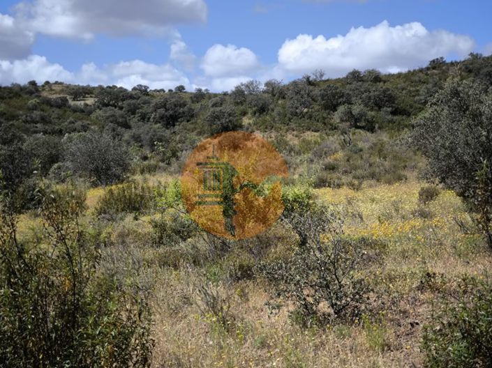 Image No.22-Plot for sale