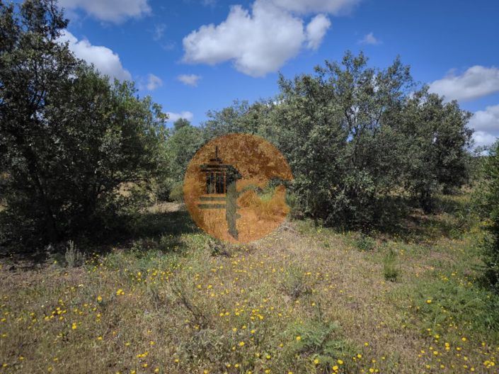 Image No.26-Plot for sale