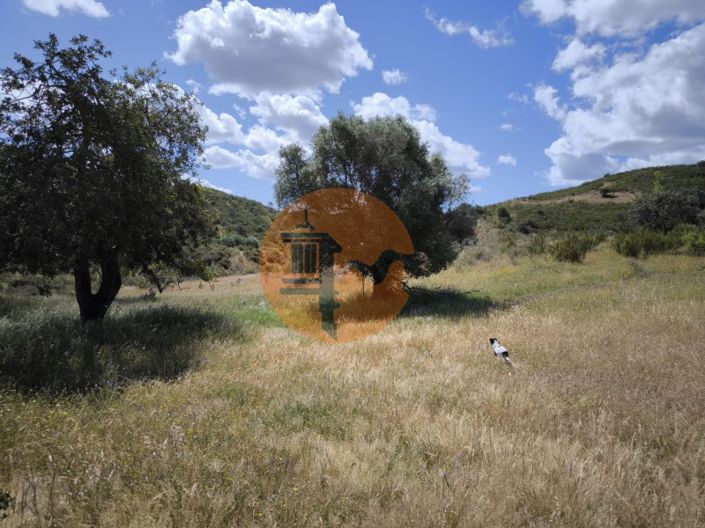 Image No.35-Plot for sale