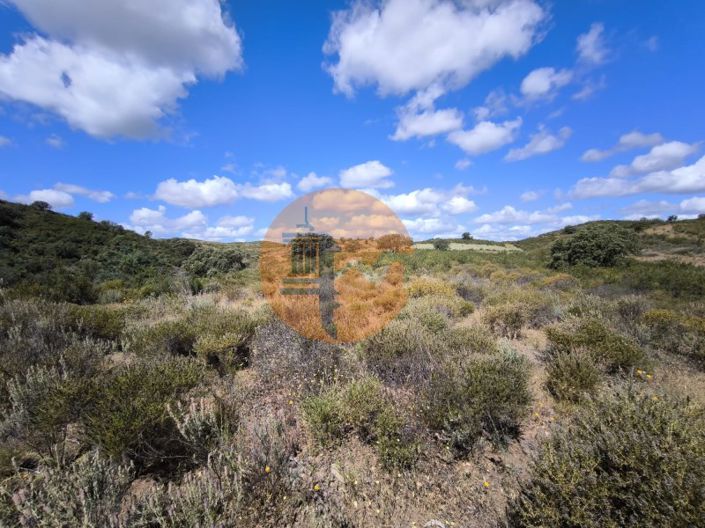 Image No.9-Plot for sale