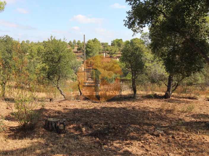 Image No.4-Terrain à vendre à Castro Marim