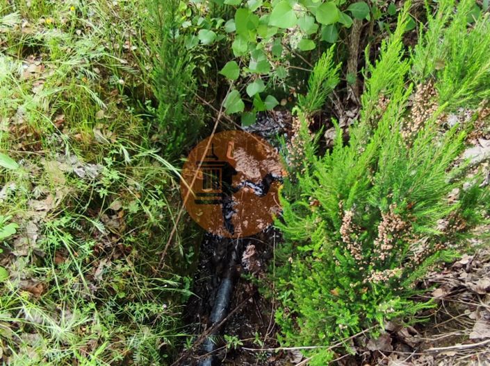 Image No.10-Terrain à vendre à Mealhada