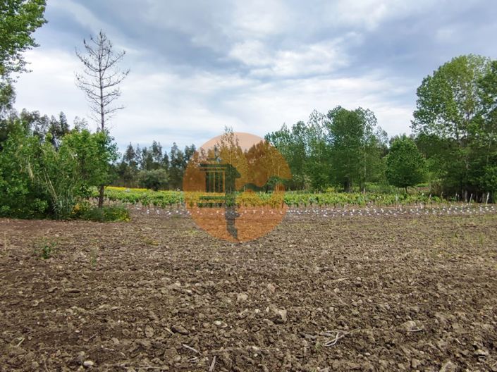 Image No.13-Terrain à vendre à Mealhada