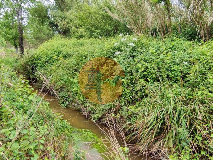 Image No.15-Terrain à vendre à Mealhada