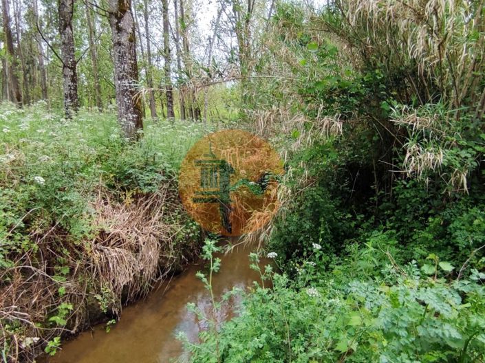 Image No.16-Terrain à vendre à Mealhada