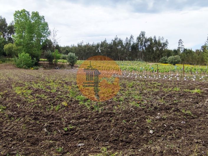 Image No.17-Terrain à vendre à Mealhada