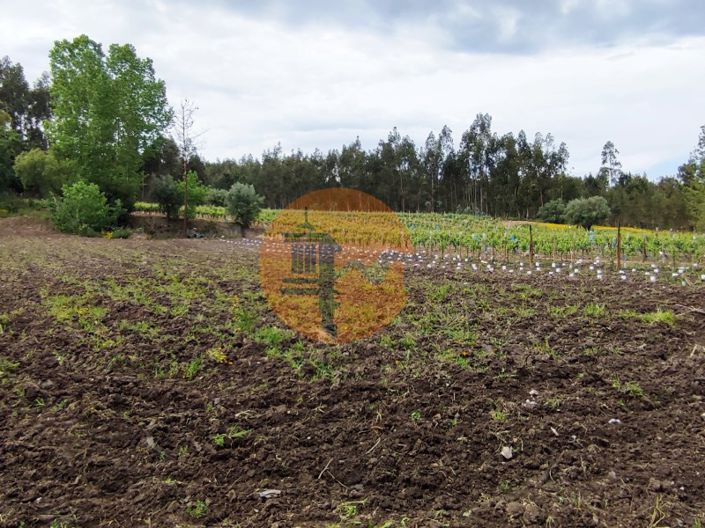 Image No.18-Terrain à vendre à Mealhada