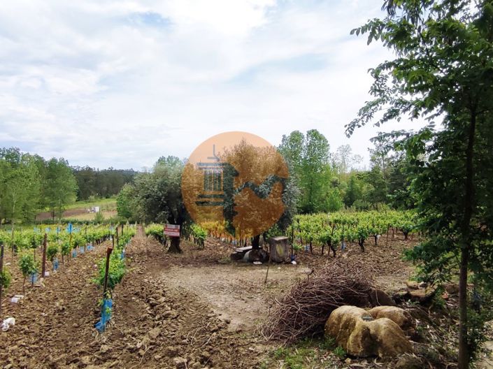 Image No.2-Terrain à vendre à Mealhada