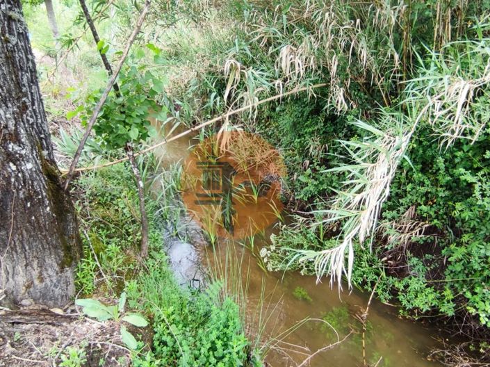 Image No.20-Terrain à vendre à Mealhada