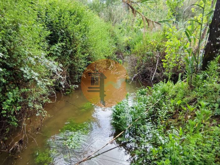 Image No.22-Terrain à vendre à Mealhada