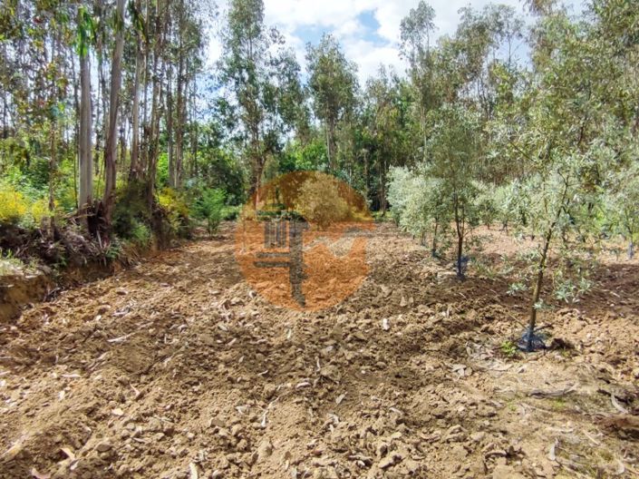 Image No.27-Terrain à vendre à Mealhada