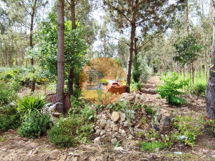 Image No.28-Terrain à vendre à Mealhada