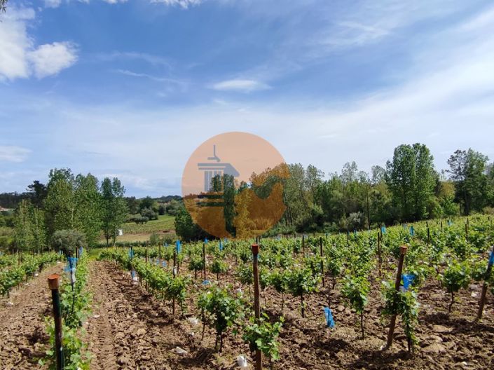 Image No.30-Terrain à vendre à Mealhada