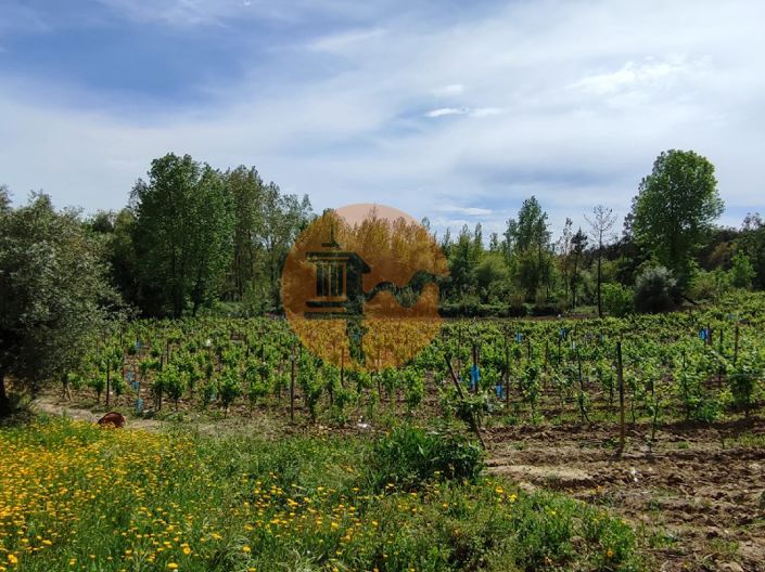 Image No.32-Terrain à vendre à Mealhada