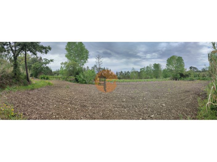 Image No.34-Terrain à vendre à Mealhada