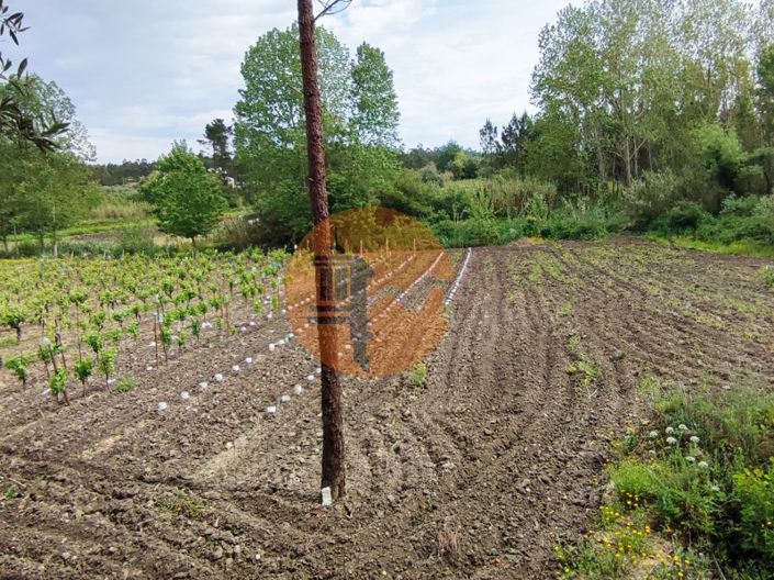 Image No.5-Terrain à vendre à Mealhada