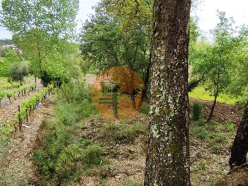 id107a7b01-0000-0500-0000-000013205d43