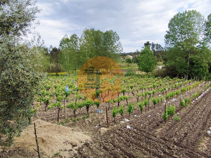 Image No.9-Terrain à vendre à Mealhada