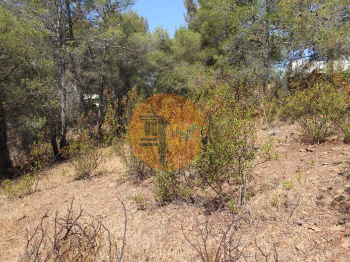 Image No.13-Ferme de 2 chambres à vendre à Castro Marim
