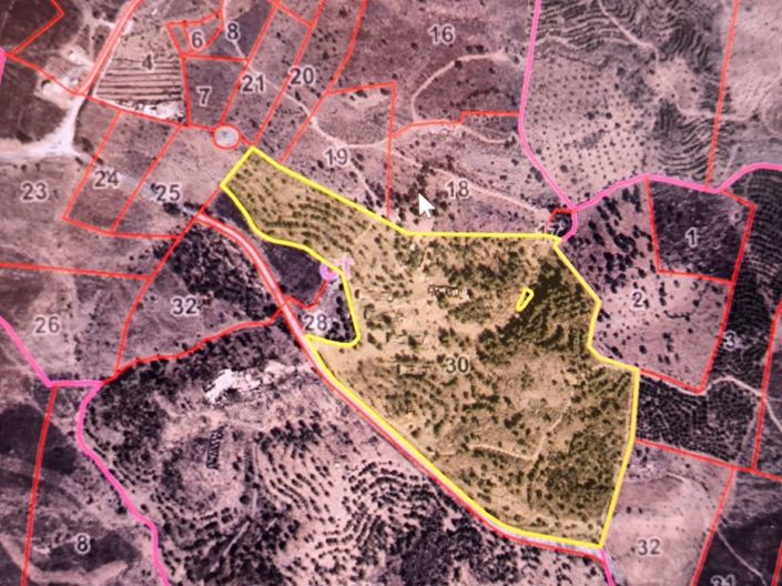 Image No.20-Ferme de 2 chambres à vendre à Castro Marim