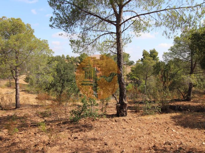 Image No.6-Ferme de 2 chambres à vendre à Castro Marim