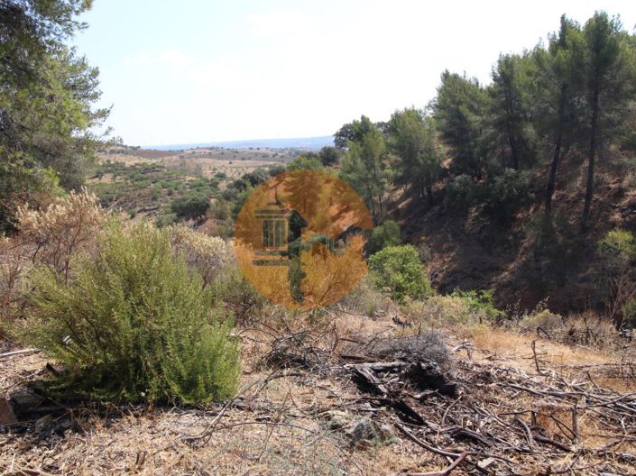 Image No.14-Commercial à vendre à Castro Marim