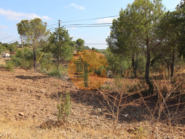 Image No.6-Commercial à vendre à Castro Marim