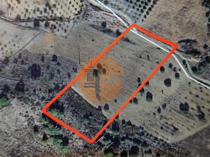 Image No.2-Plot for sale