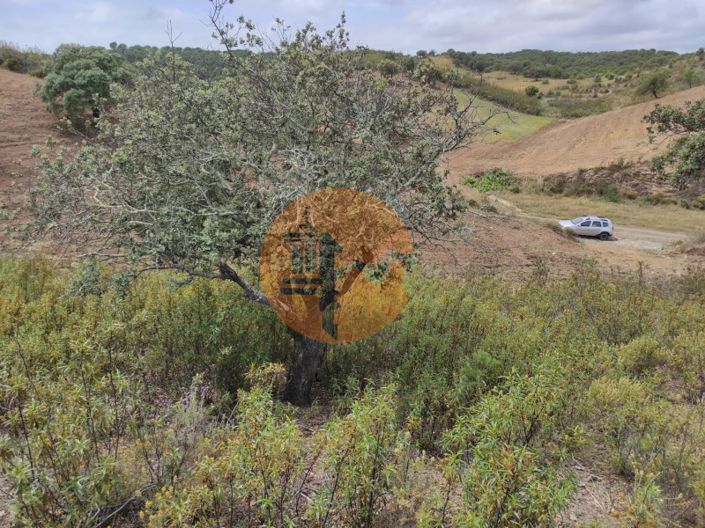 Image No.22-Plot for sale