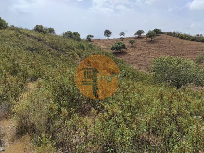 Image No.24-Plot for sale