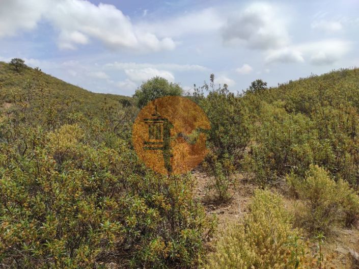 Image No.27-Plot for sale