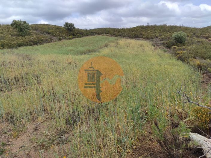 Image No.35-Plot for sale