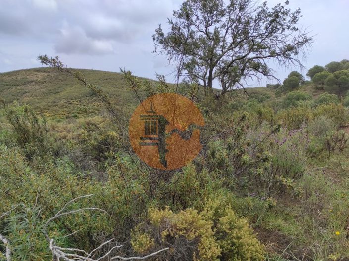 Image No.36-Plot for sale