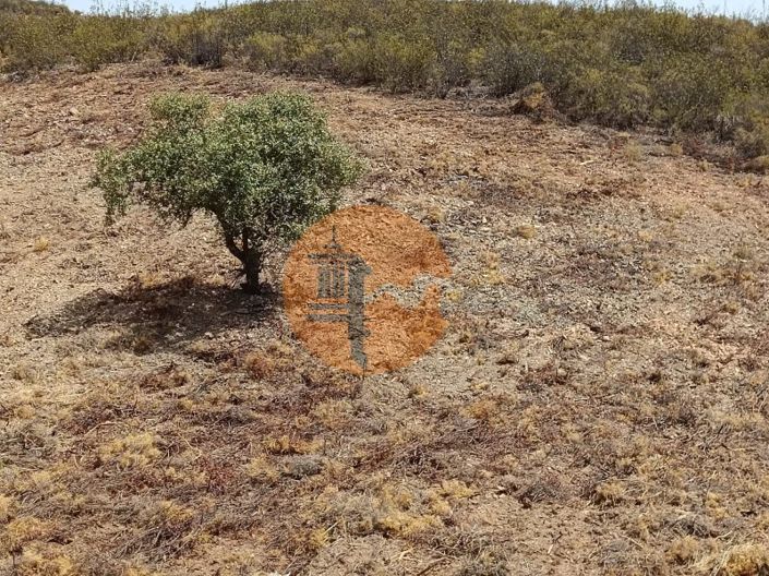 Image No.42-Plot for sale