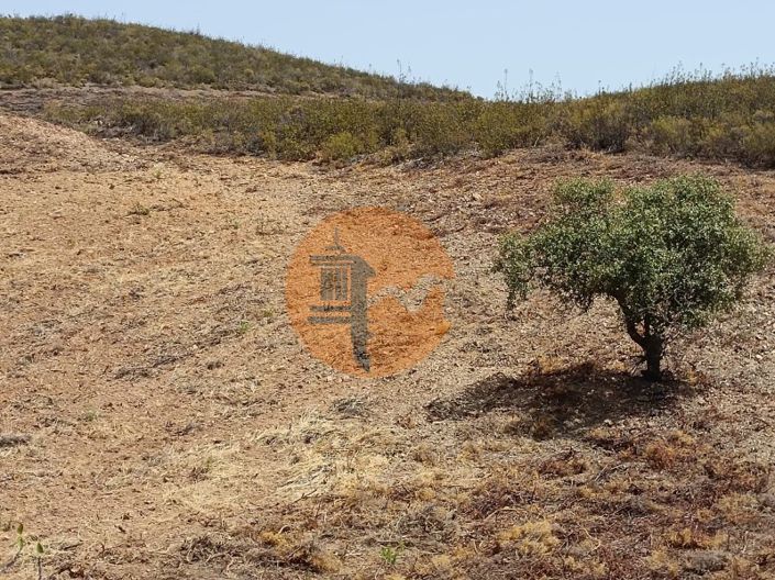 Image No.43-Plot for sale