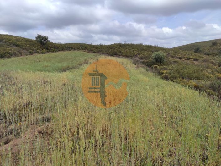 Image No.5-Plot for sale