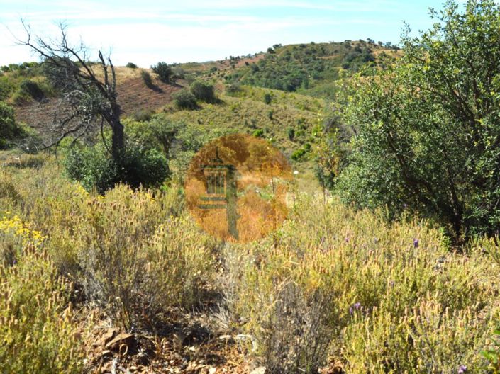 Image No.12-Terrain à vendre à Tavira
