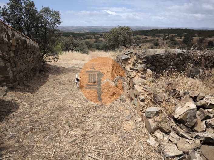 Image No.56-Maison de 3 chambres à vendre à Castro Marim