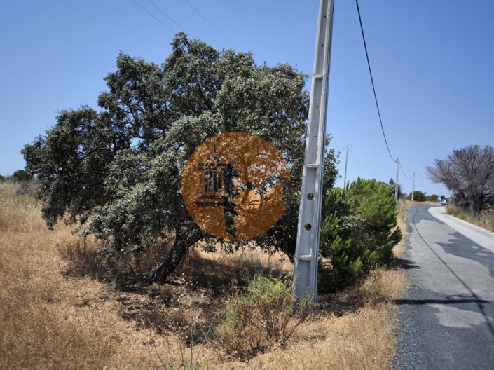 Image No.17-Ferme à vendre à Vila Real de Santo António