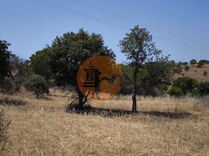 Image No.21-Ferme à vendre à Vila Real de Santo António