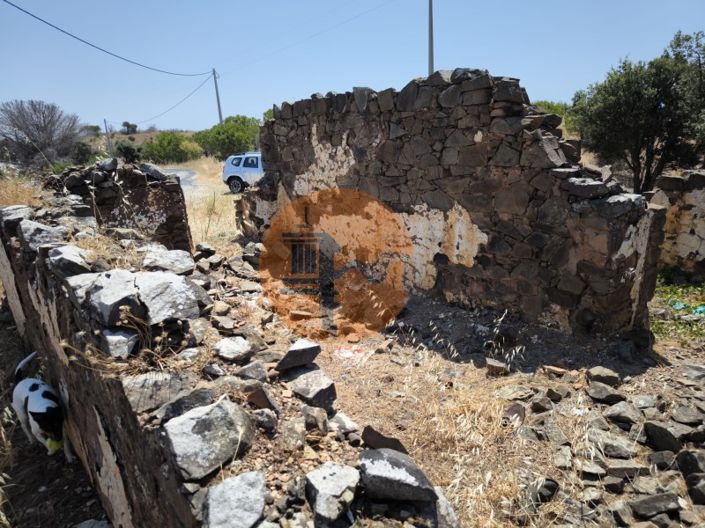 Image No.23-Ferme à vendre à Vila Real de Santo António