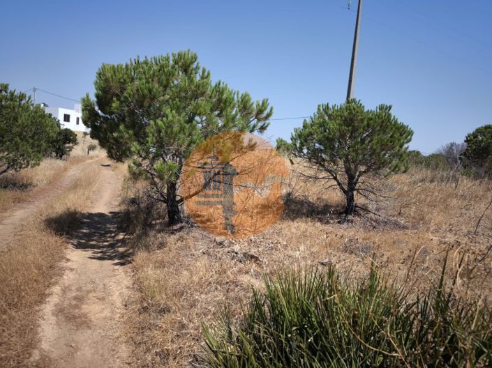 Image No.30-Ferme à vendre à Vila Real de Santo António