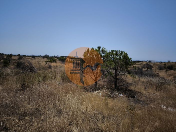 Image No.32-Ferme à vendre à Vila Real de Santo António