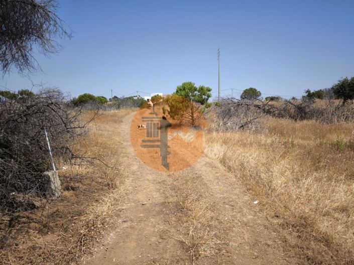 Image No.36-Ferme à vendre à Vila Real de Santo António
